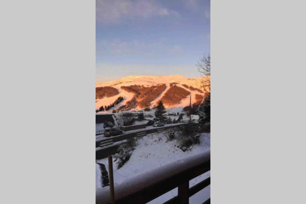 Authentique Chalet Vue Sur Le Lac Et Les Pistes Besse-et-Saint-Anastaise Eksteriør bilde